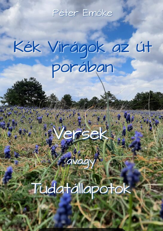 Boritoeladasra.jpg